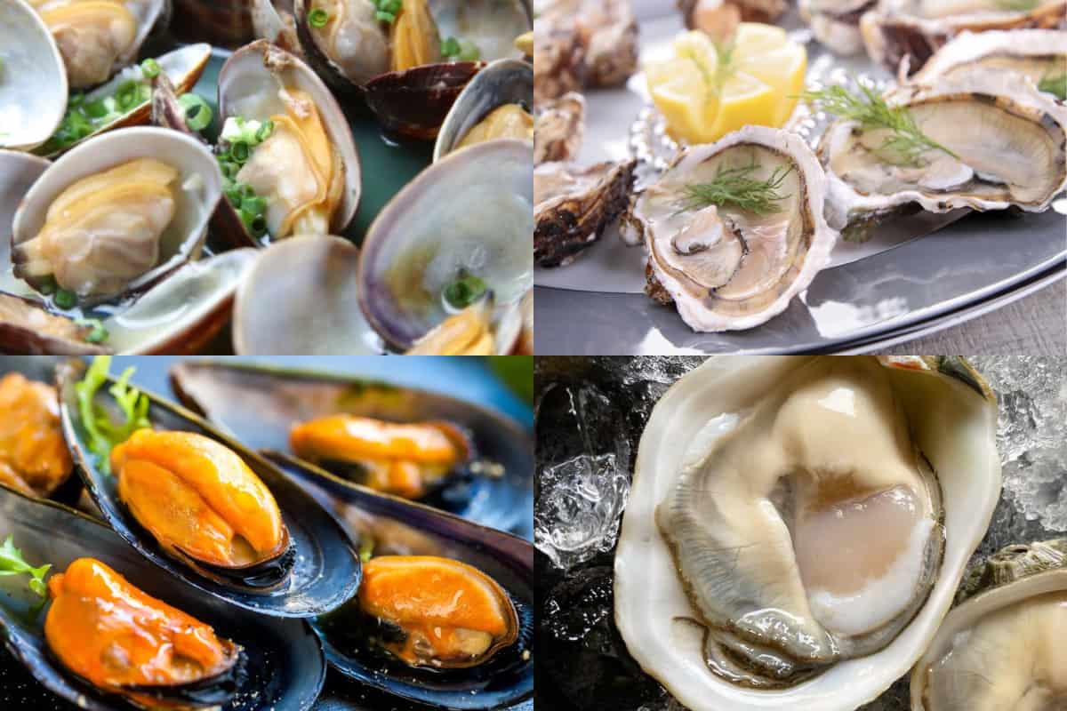 ¿Cuál es la diferencia entre ostión, ostras, almejas y mejillones?
