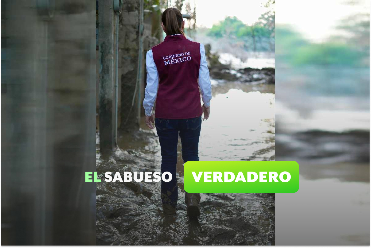La fotografía de Claudia Sheinbaum de espaldas en un recorrido por Veracruz es verdadera