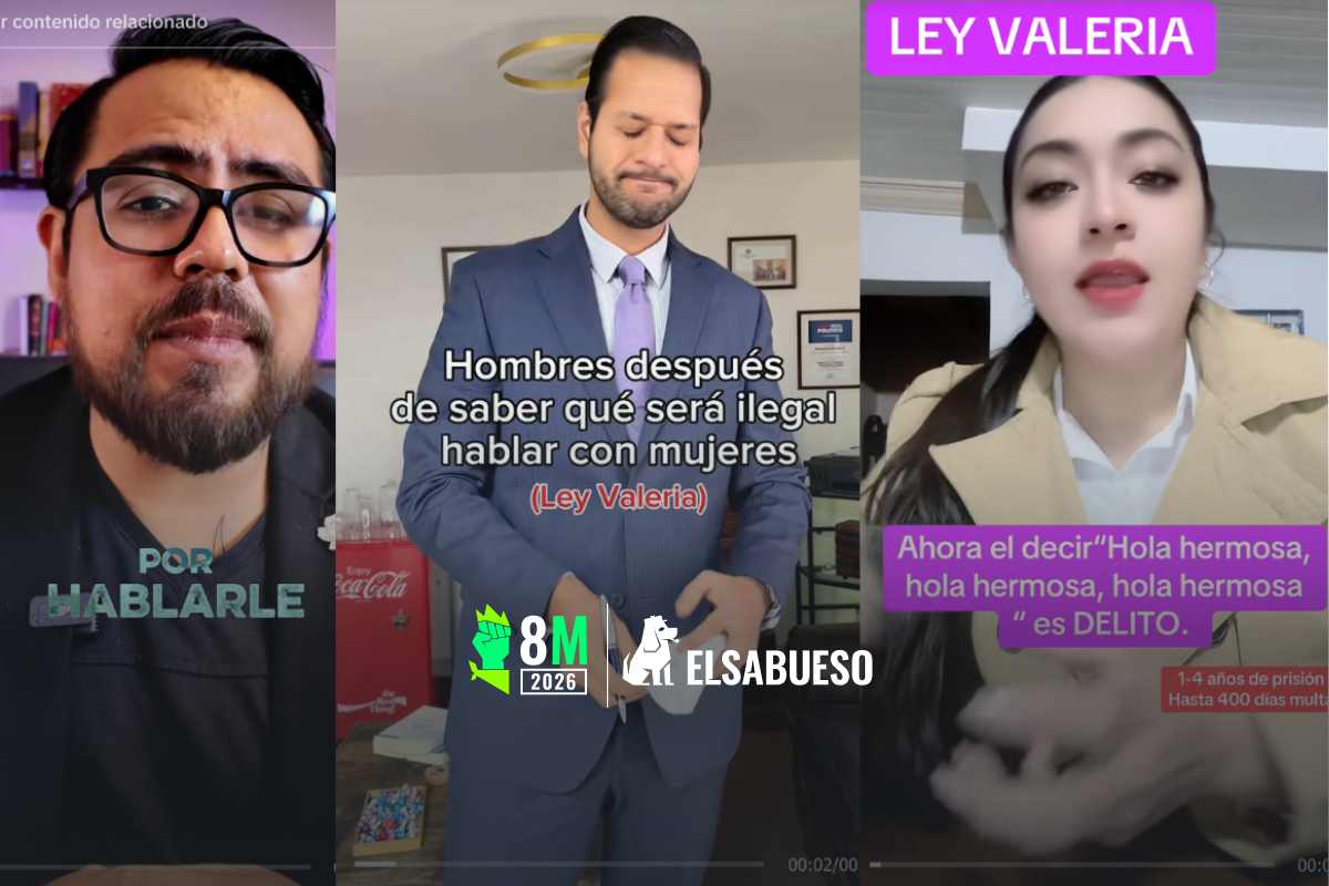 Ley Valeria: desinformación en torno a la reforma al código federal que tipifica el acecho 