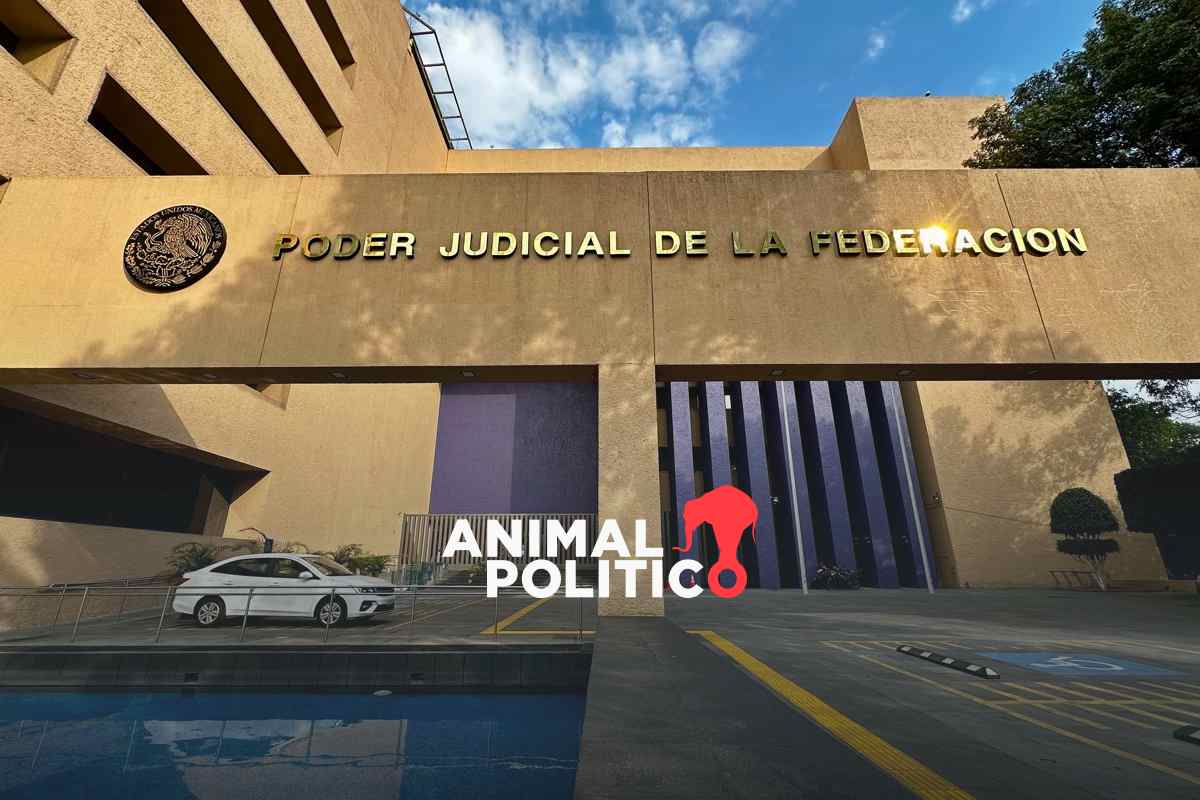 Trabajadores del Poder Judicial denuncian despidos masivos en el OAJ; suman 100 empleados cesados