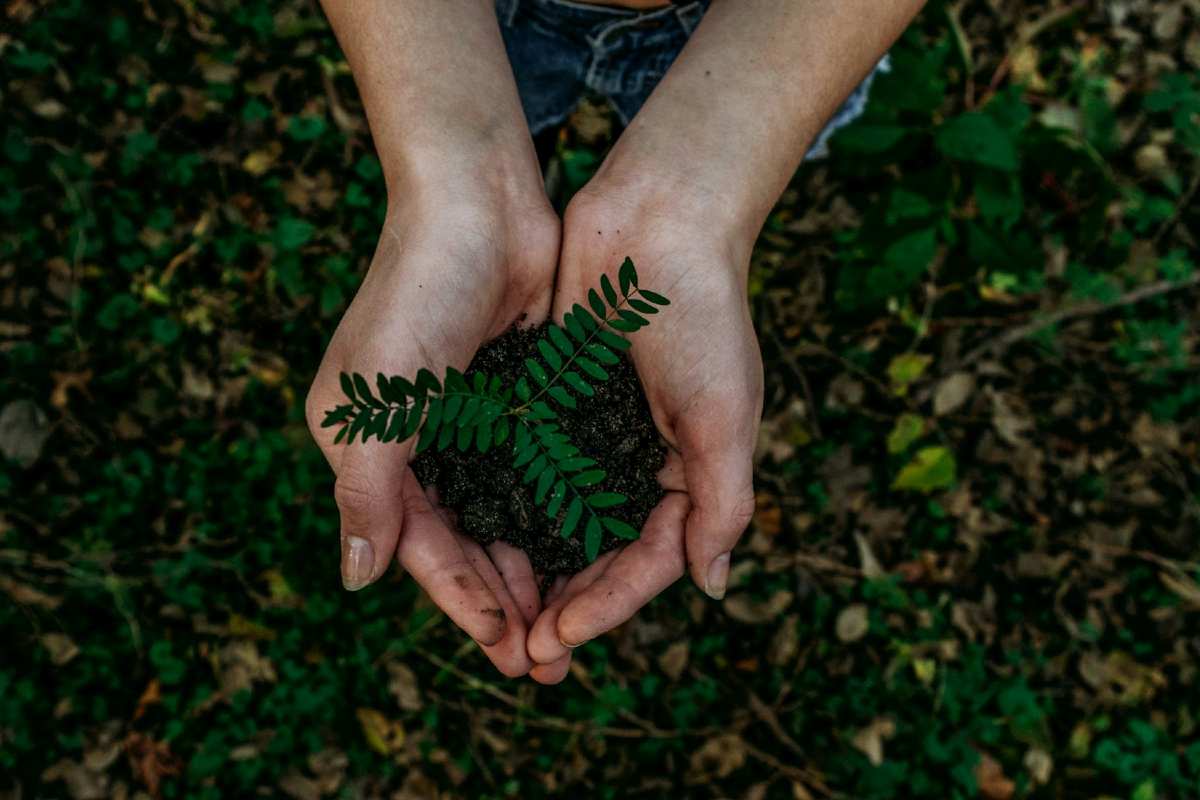 Día de la Tierra: 5 campañas ambientales para apoyar la defensa de la biodiversidad en México