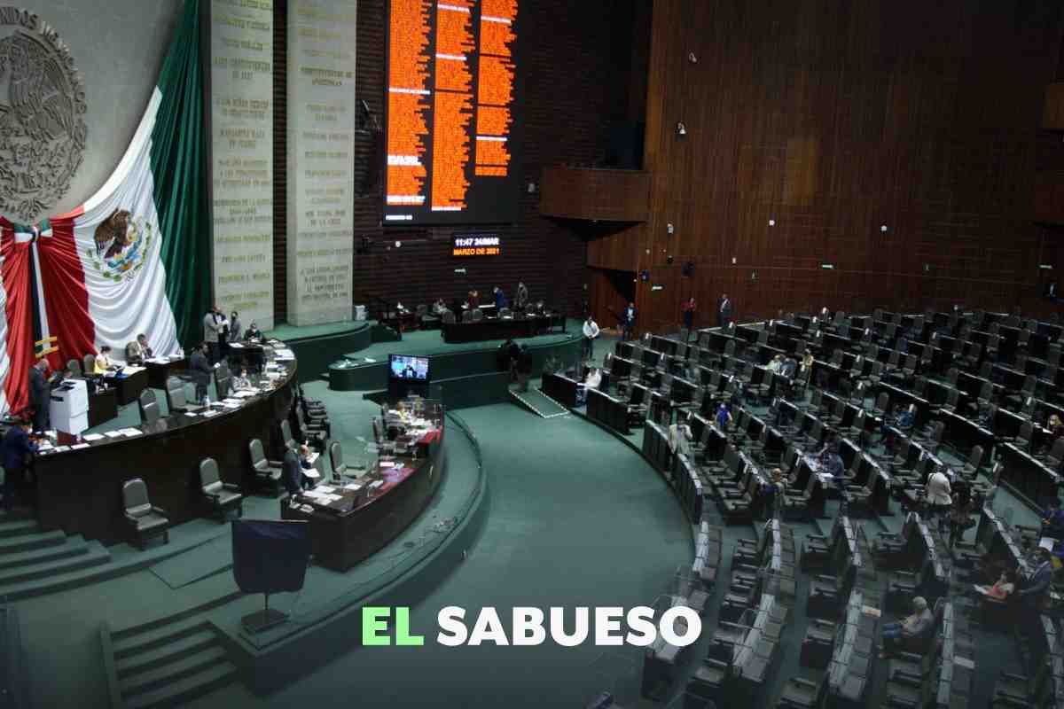 Elecciones 2024: cómo se eligen los diputados y se define a los ‘pluris’