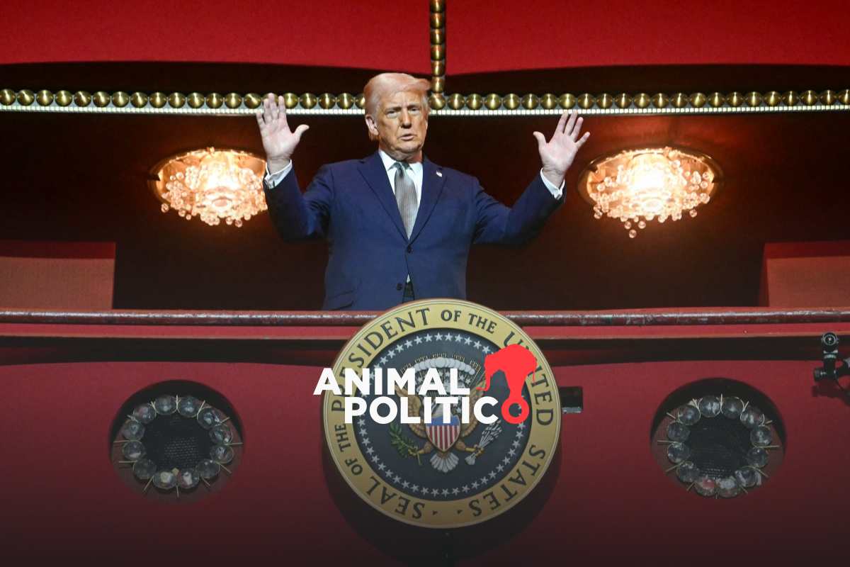 "Esperaba más": el apoyo a Trump disminuye un año después de su regreso a la Casa Blanca 