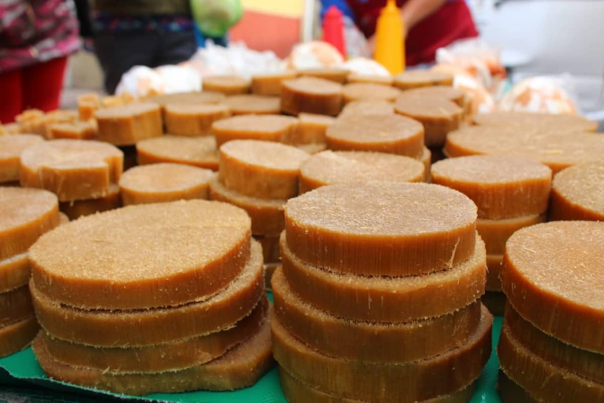 ¿Qué es el quiote y para qué sirve?