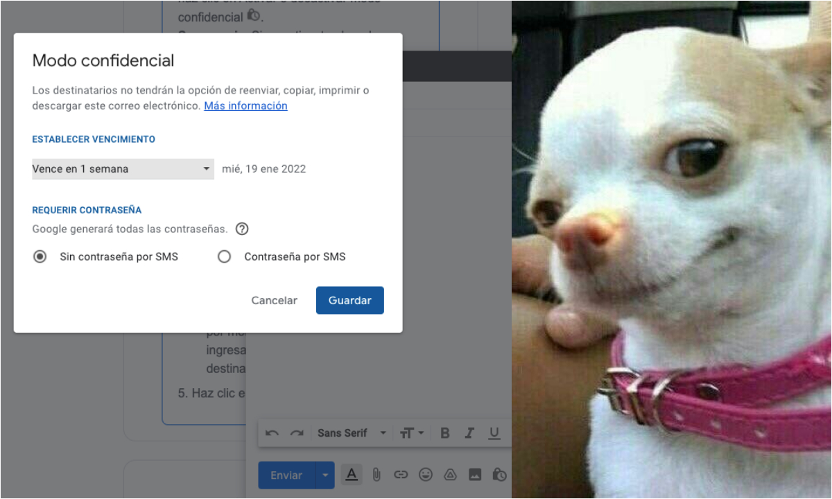 *'Modo confidencial': la nueva función de Gmail* para que los correos que envíes caduquen