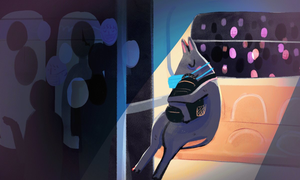 *Todo lo que debes saber sobre el ciclo del sueño* y qué hacer para tener una 'meme' reparadora