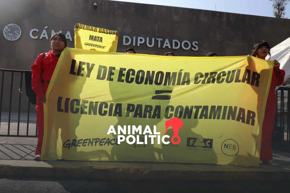 Iniciativa de Ley General de Economía Circular no es ambiental y solo beneficia al sector económico