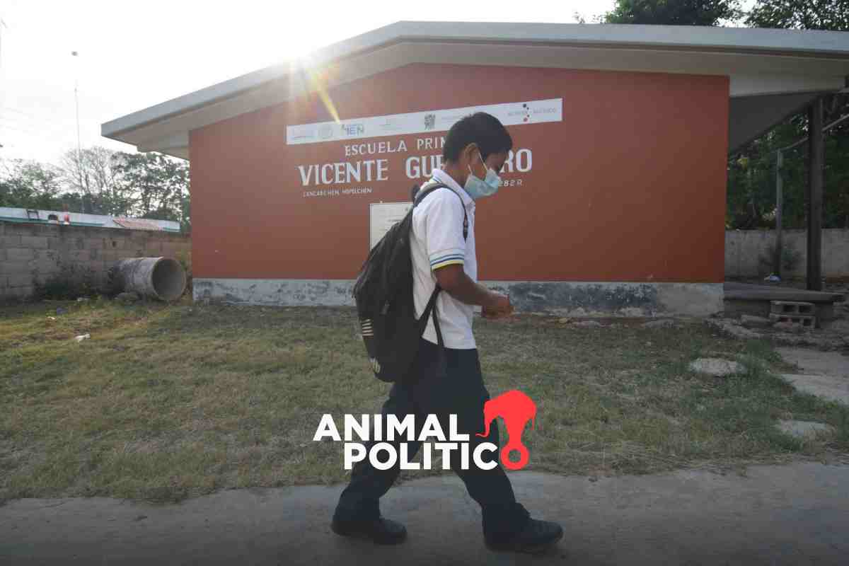 Federación invierte de forma desigual en educación; en BCS destinan más por alumno que en Jalisco