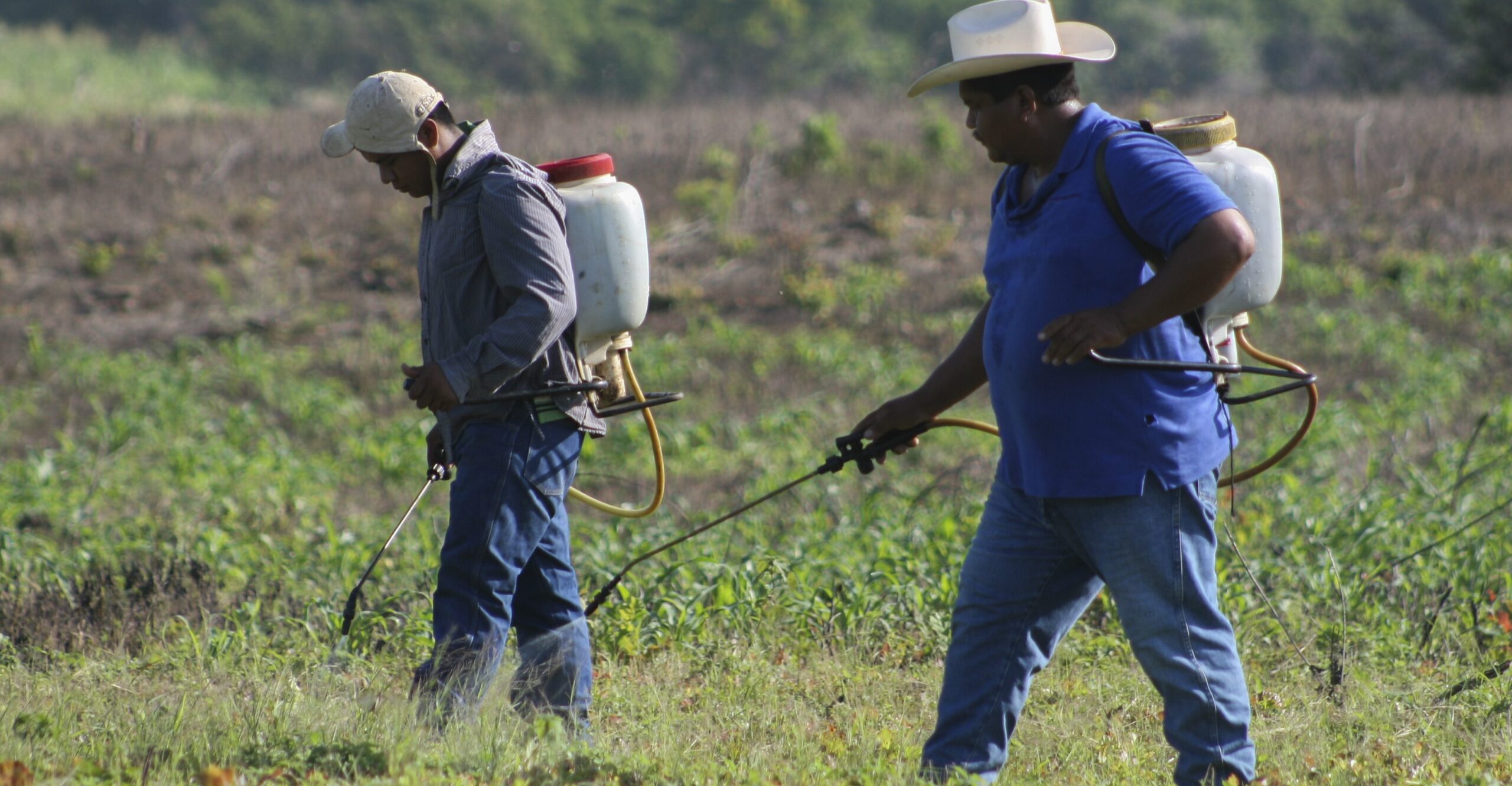 Las consultas con los pueblos indígenas para explotar la tierra son una manipulación: ONU