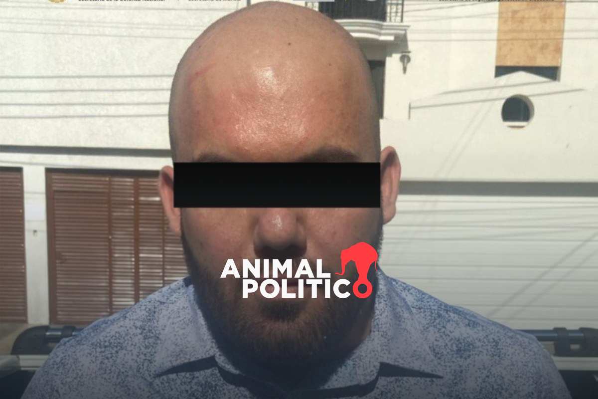 Capturan a “El Pelón”, presunto coordinador de ofensiva de los Chapitos contra los Mayos en Sinaloa