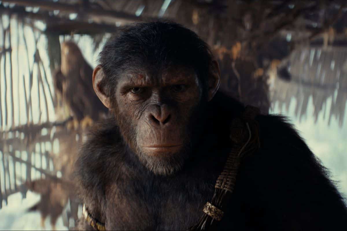 Cómo ver 'El planeta de los simios' en orden cronológico (y en qué plataforma)