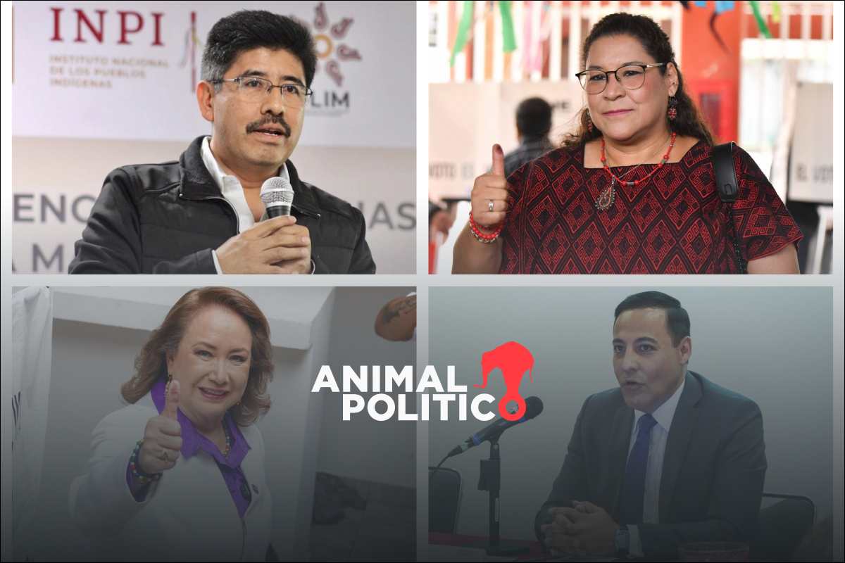 Conoce a las ministras y los ministros que integran la nueva Suprema Corte