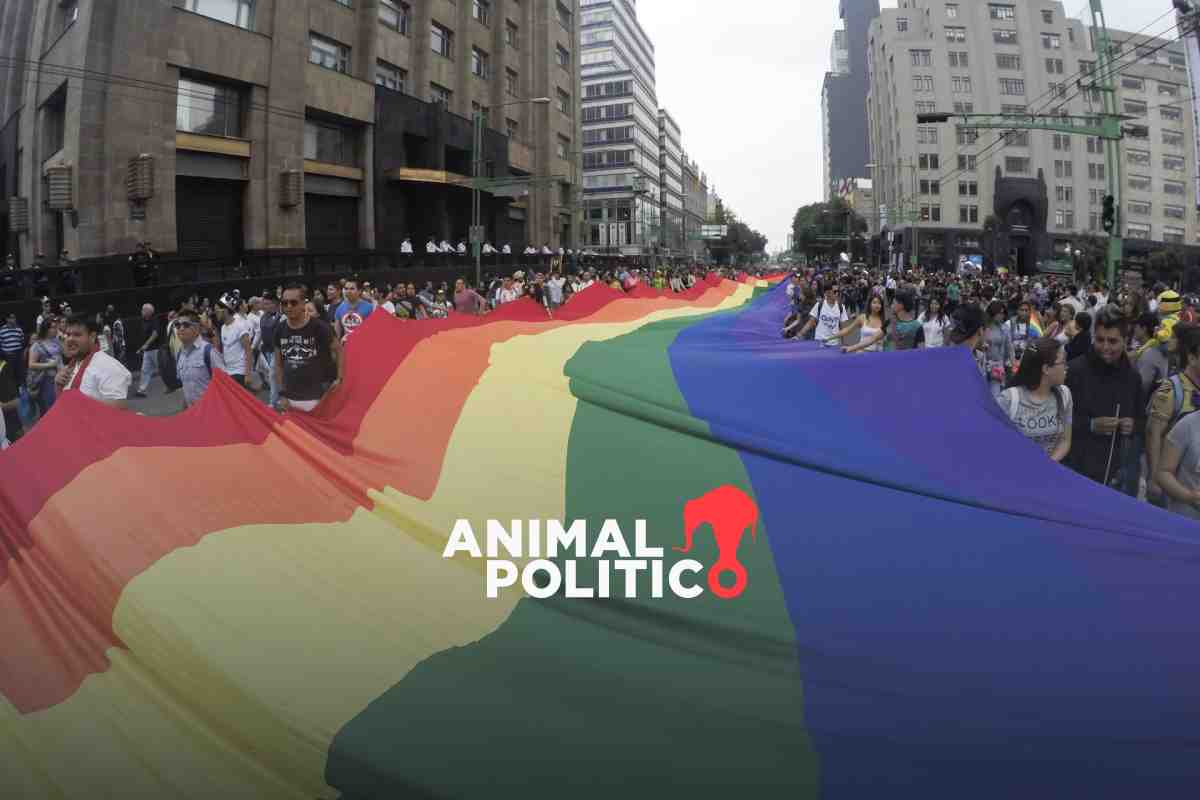 Elección judicial deja fuera representación de poblaciones de la diversidad sexual