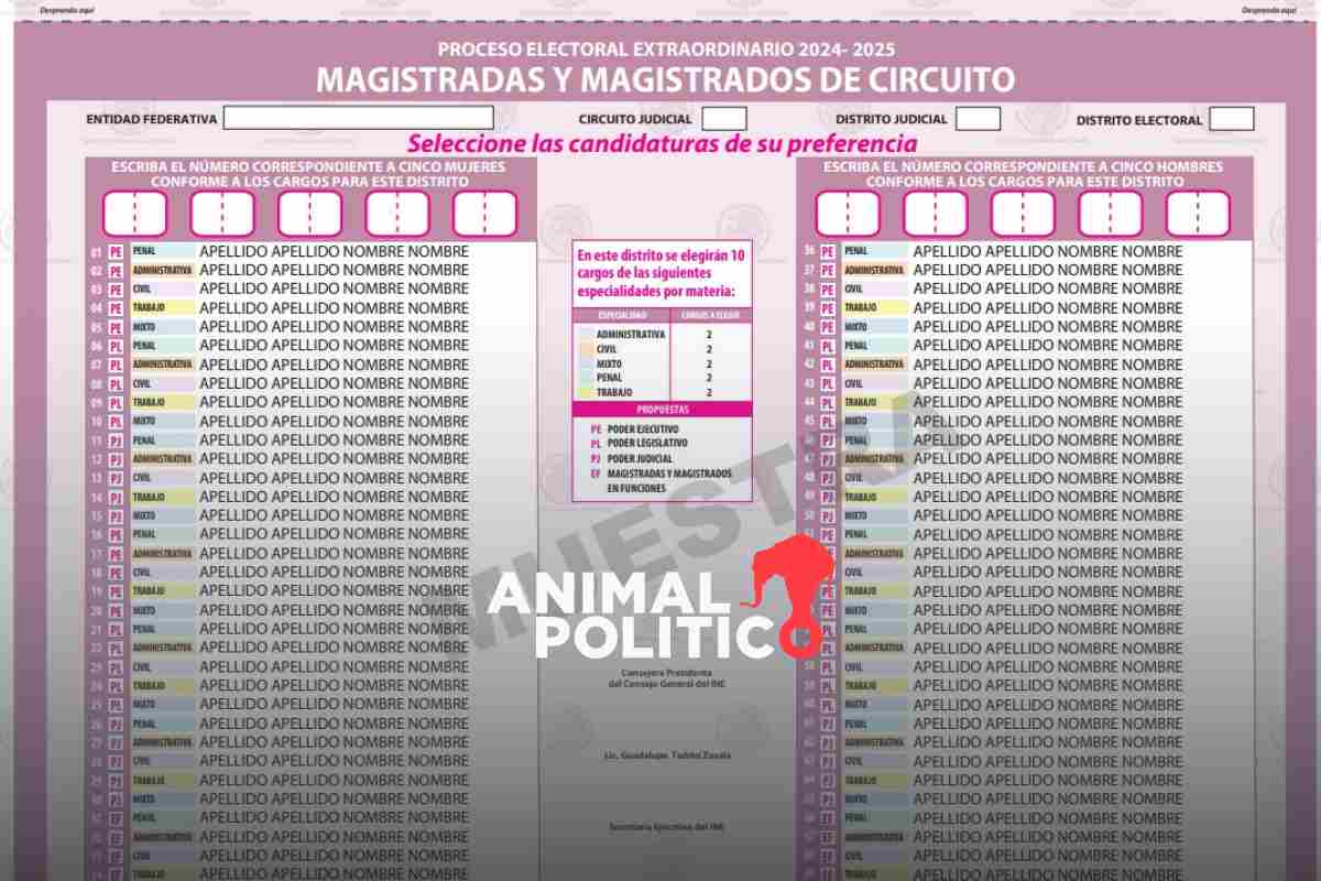 Ilegibles y confusas: INE aprueba las boletas más complicadas de la historia, para elección judicial