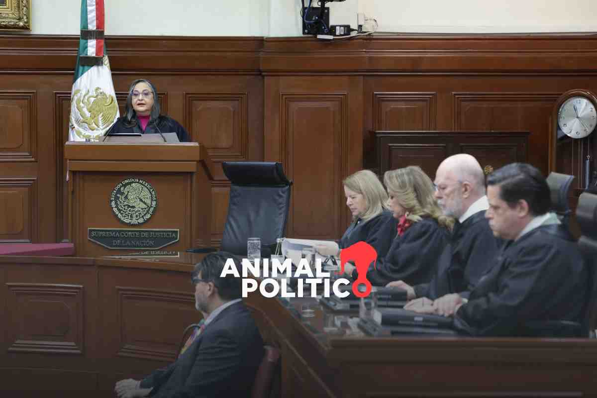 Continuar elección de jueces sin el Poder Judicial podría anular proceso electoral: especialistas