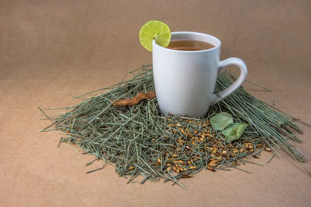 Emoliente: el remedio caliente que sostiene la salud de Perú