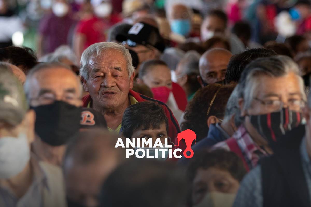 Vinculación productiva: el programa del INAPAM para que adultos mayores accedan a un empleo 