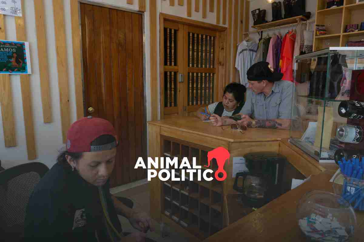 Casa Venus, un hotel que emplea a personas LGBT y desafía la transfobia en San Cristóbal, Chiapas