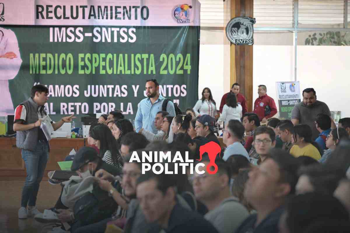 Médicos residentes quedan fuera del sistema de salud por trabas en la asignación de plazas