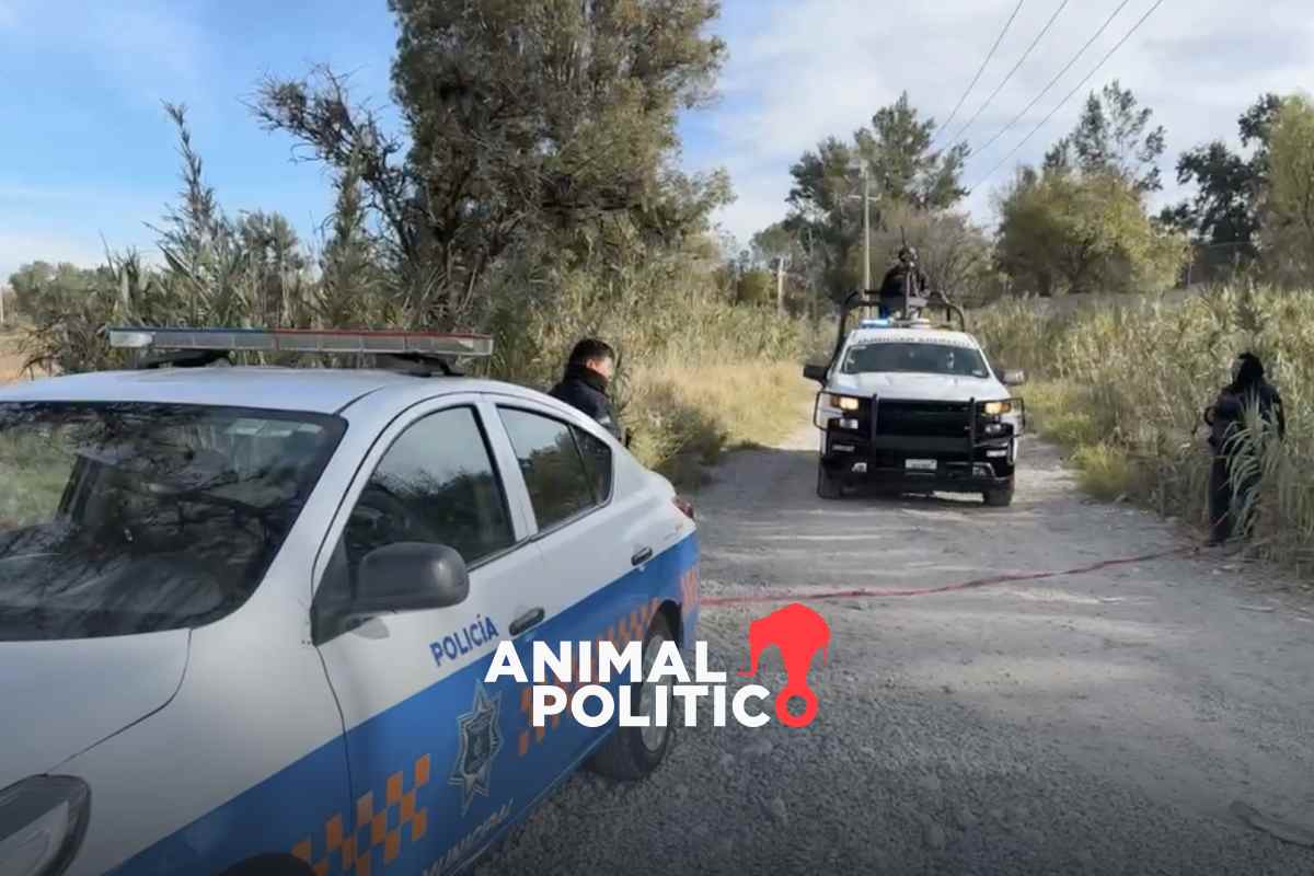 Encuentran nueve cuerpos cerca de ducto de Pemex en San Juan del Río, Querétaro