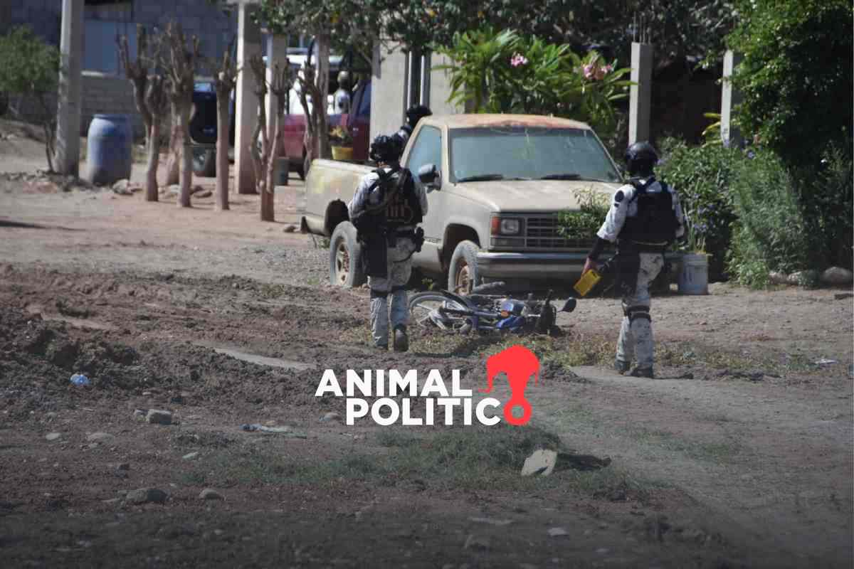 Gobierno de Sinaloa confirma 7 muertos en enfrentamiento donde murió el operador de Los Chapitos
