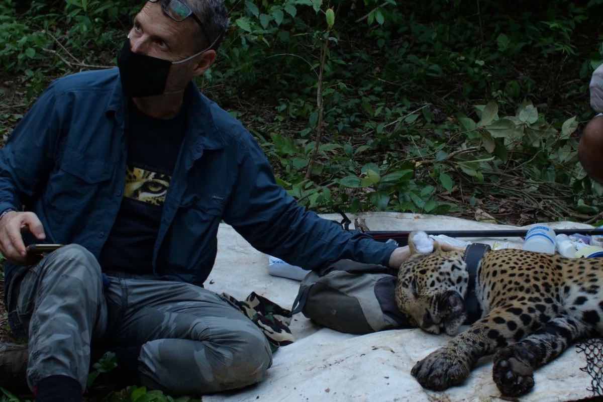 erik-saracho-amenazas-defender-selva-jaguar-intento-asesinato-1