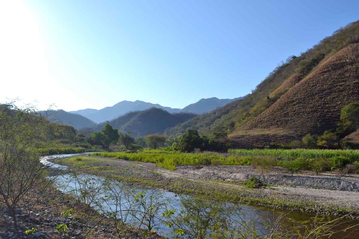 erik-saracho-amenazas-defender-selva-jaguar-intento-asesinato-7