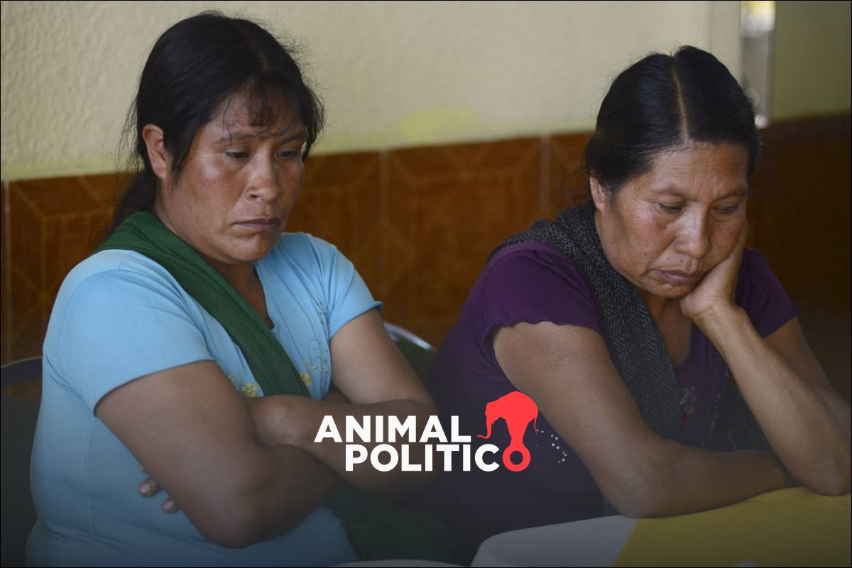 Declaran a México responsable por violación y muerte de Ernestina Ascencio a manos del Ejército