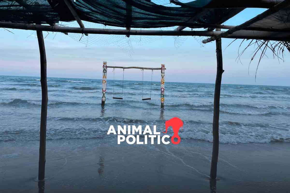 Crisis climática y construcción desordenada aceleran la desaparición de playas en el Golfo de México