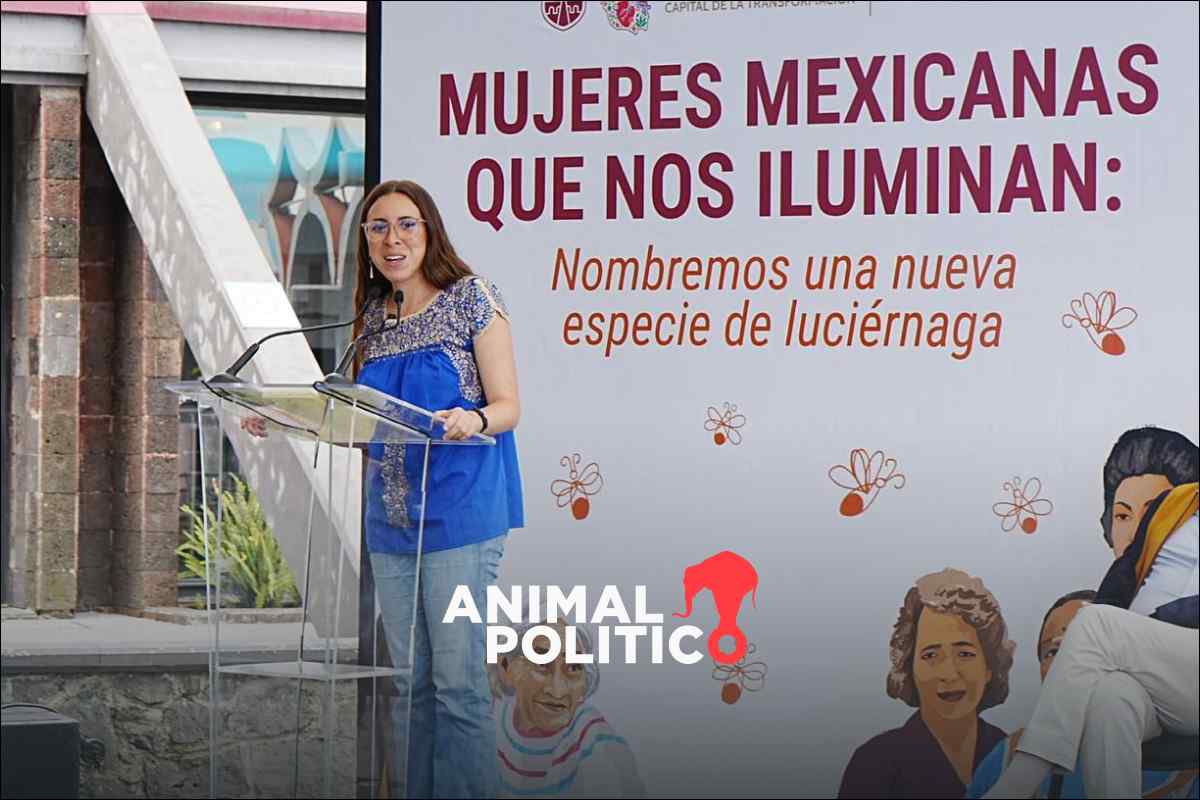 Rosario Castellanos y María Sabina, entre las propuestas para nombrar nueva especie de luciérnaga