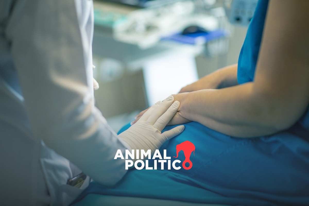 ¿Qué es la eutanasia, dónde es legal y cuáles son los avances en México?