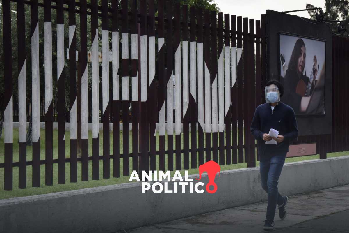 ¿Participaste en la segunda vuelta del examen de admisión al IPN? Ya puedes consultar tus resultados