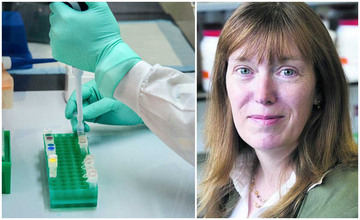 *Sarah Gilbert, la enorme científica de Oxford* que busca una vacuna anti Covid-19