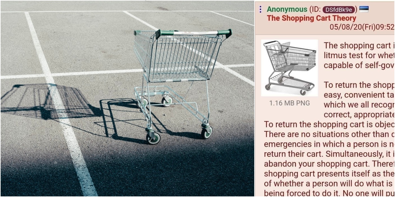 *La teoría del carrito de supermercado*: la pregunta viral que pondrá a prueba tu empatía