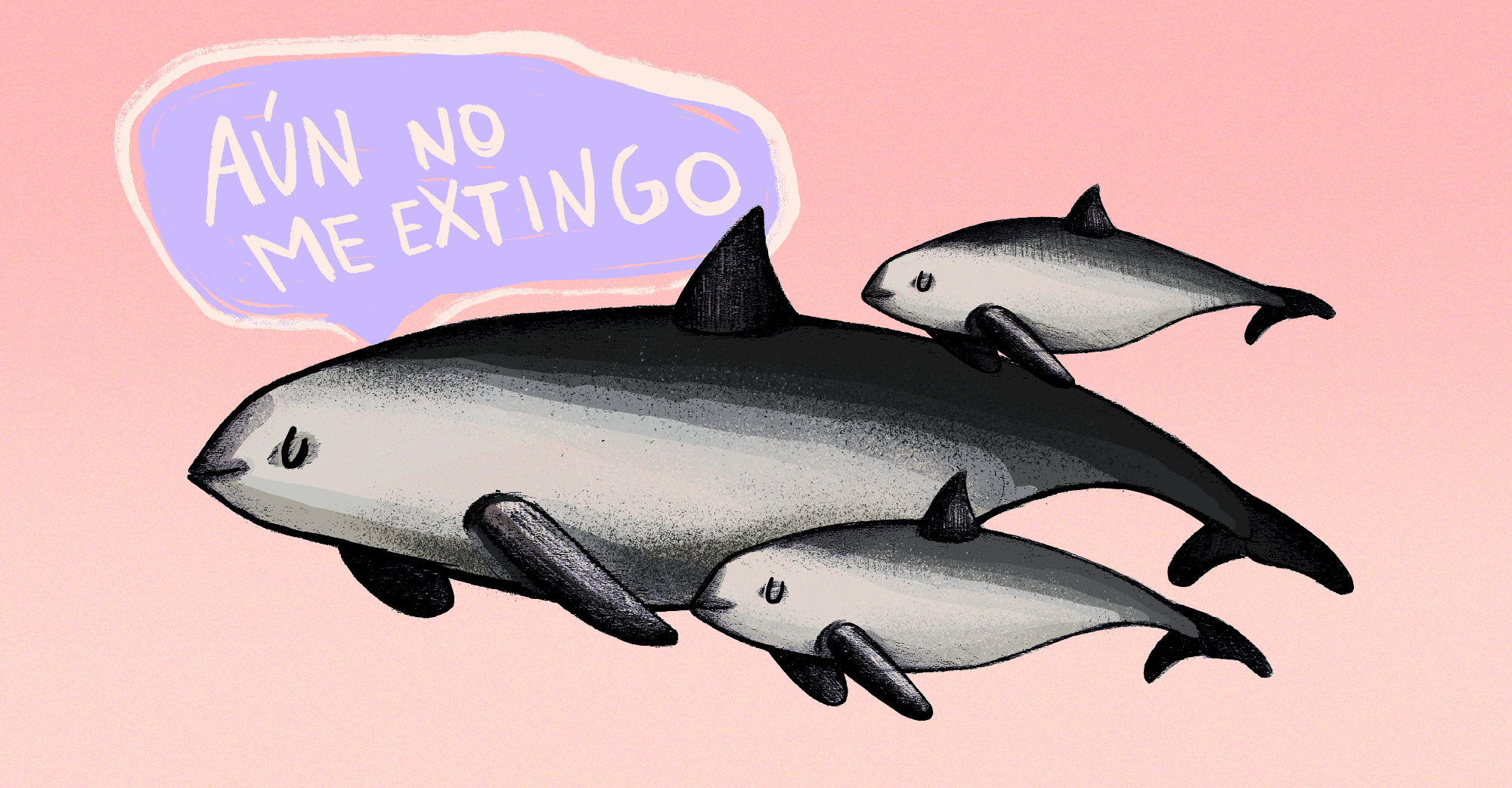 Cómo el avistamiento de vaquitas marinas bebé da una esperanza a la especie