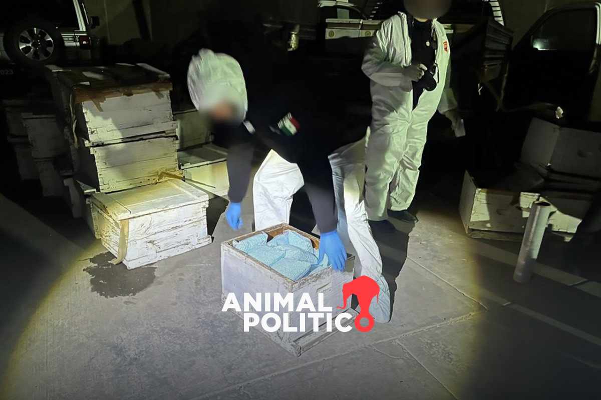 FGR detiene a hombre que transportaba fentanilo y metanfetamina en cajas con paneles de abejas