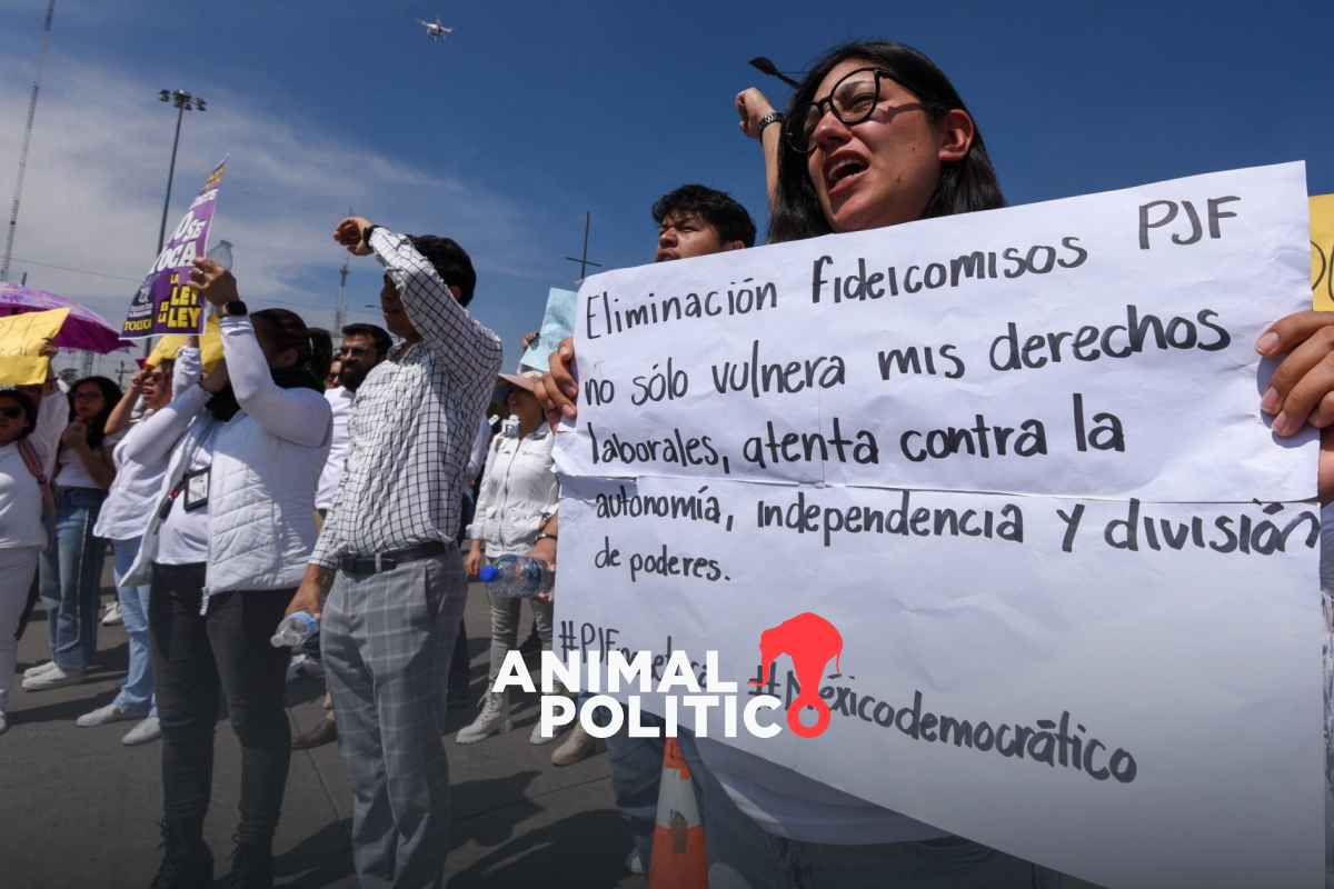 Poder Judicial a AMLO: 6 fideicomisos que buscan extinguir vinculados a derechos de los trabajadores
