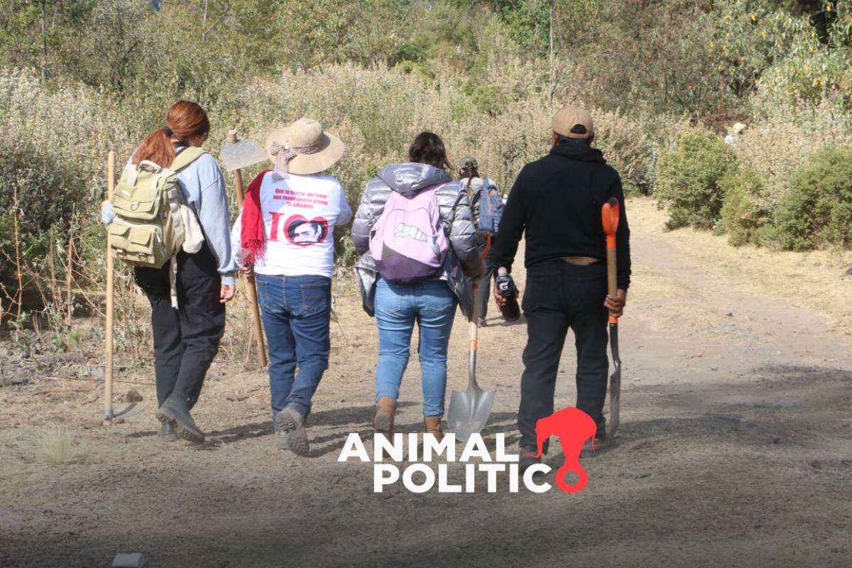 “En la CDMX también hay fosas clandestinas”: búsqueda de Pamela lleva a predio con restos en Ajusco