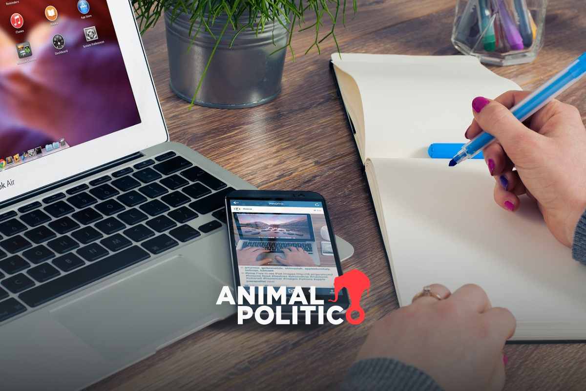 Ojo: Te decimos qué es el fraude sugar daddy y cómo evitarlo 