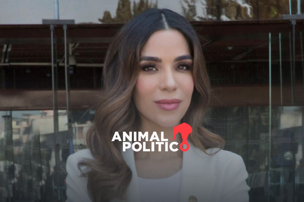 Diputada del PT pide a Tribunal Electoral frenar disculpas públicas de ciudadana tras ocho días