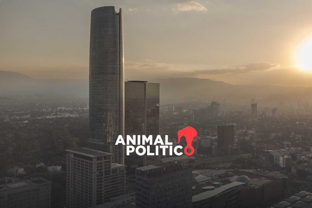 “Nos quitaron el sol”: gentrificación redefine la CDMX; ciudadanos enfrentan despojo y marginación