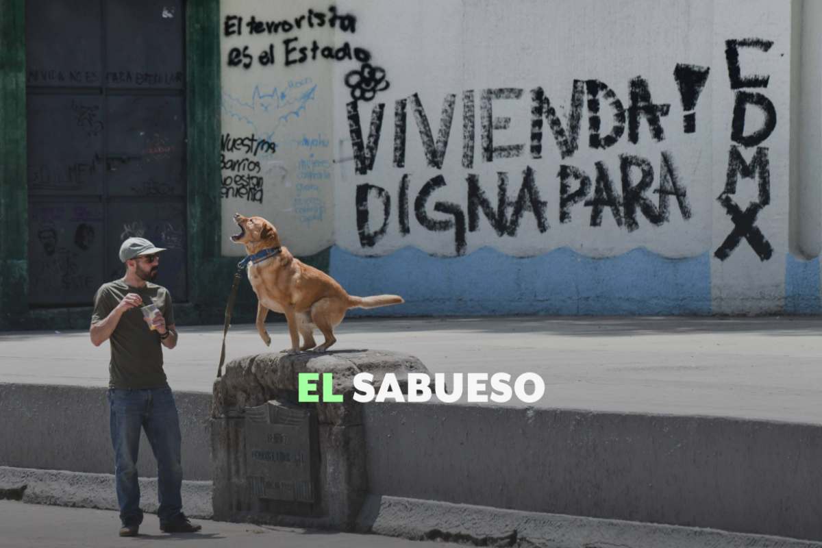 Gentrificación en México: ¿qué es, cuáles son sus causas y a quiénes afecta? 