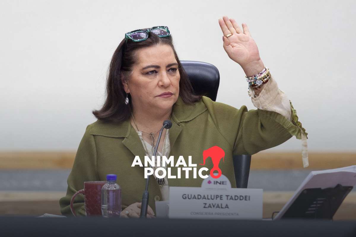 “México no puede quedarse sin información de la elección”: Taddei cuestiona eliminación del PREP