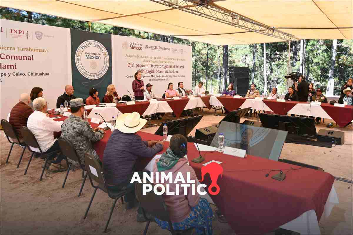 Sheinbaum promete reforzar la Guardia Nacional en Guadalupe y Calvo, en el Triángulo Dorado