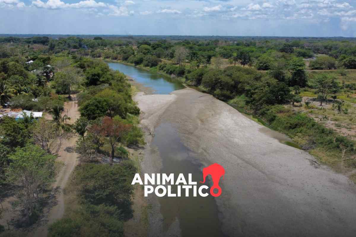 Guardianes del agua: Alternativas desde la ciudadanía para la recuperación hídrica en Chiapas 