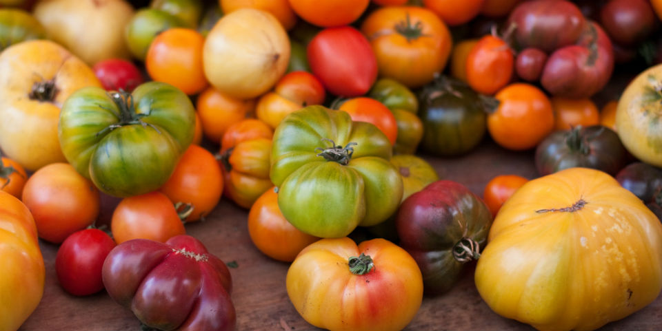 ¿Tomate? ¿Jitomate? ¿Tomatillo? ¿Cuáles son las diferencias?