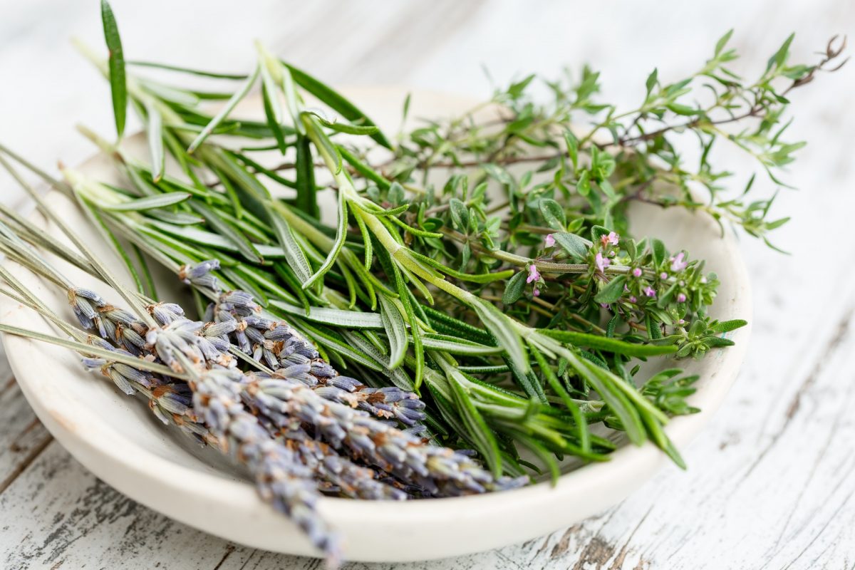 Recetario Popular: hierbas y alimentos como remedios naturales
