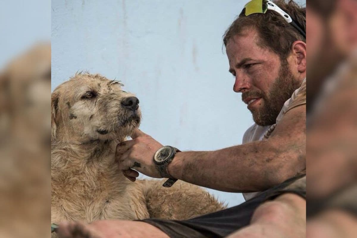 La conmovedora historia real de 'Arthur the King', la película con Mark Wahlberg