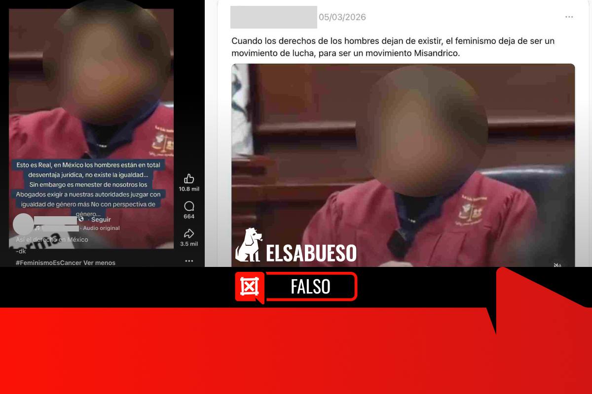 ¿Los hombres están borrados de las leyes mexicanas? Falso, esto dicen las especialistas 