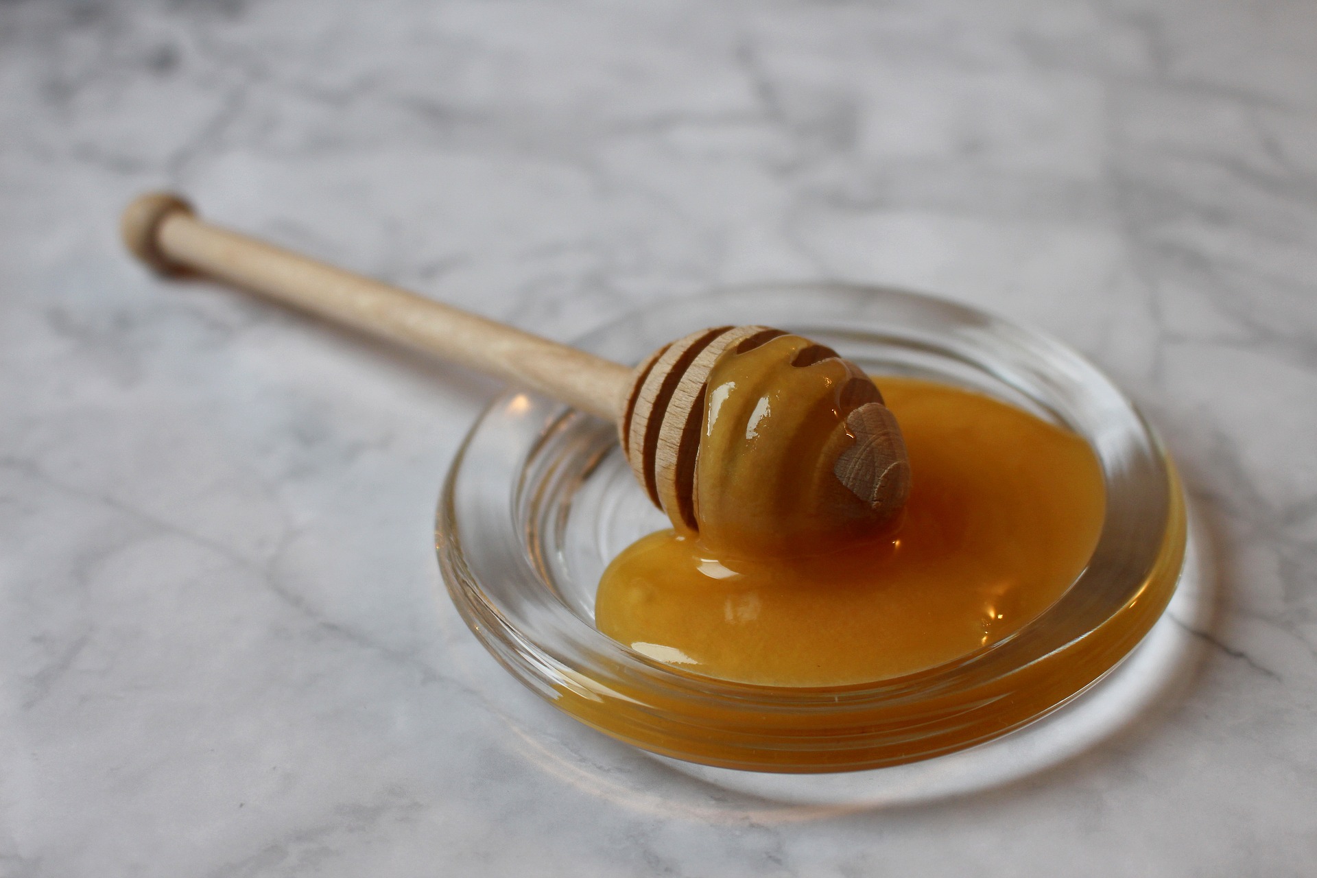 #SoyAbejaMaya un proyecto de mujeres y abejas meliponas